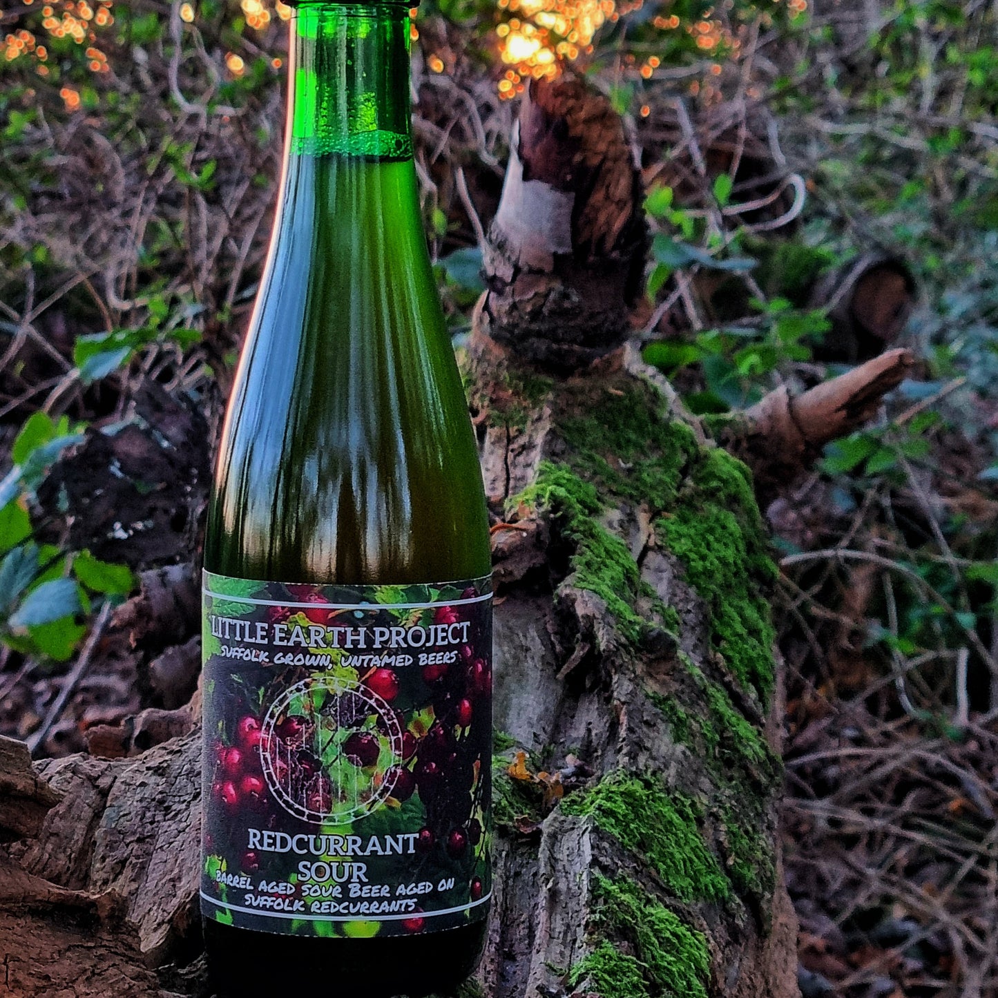 Redcurrant Sour